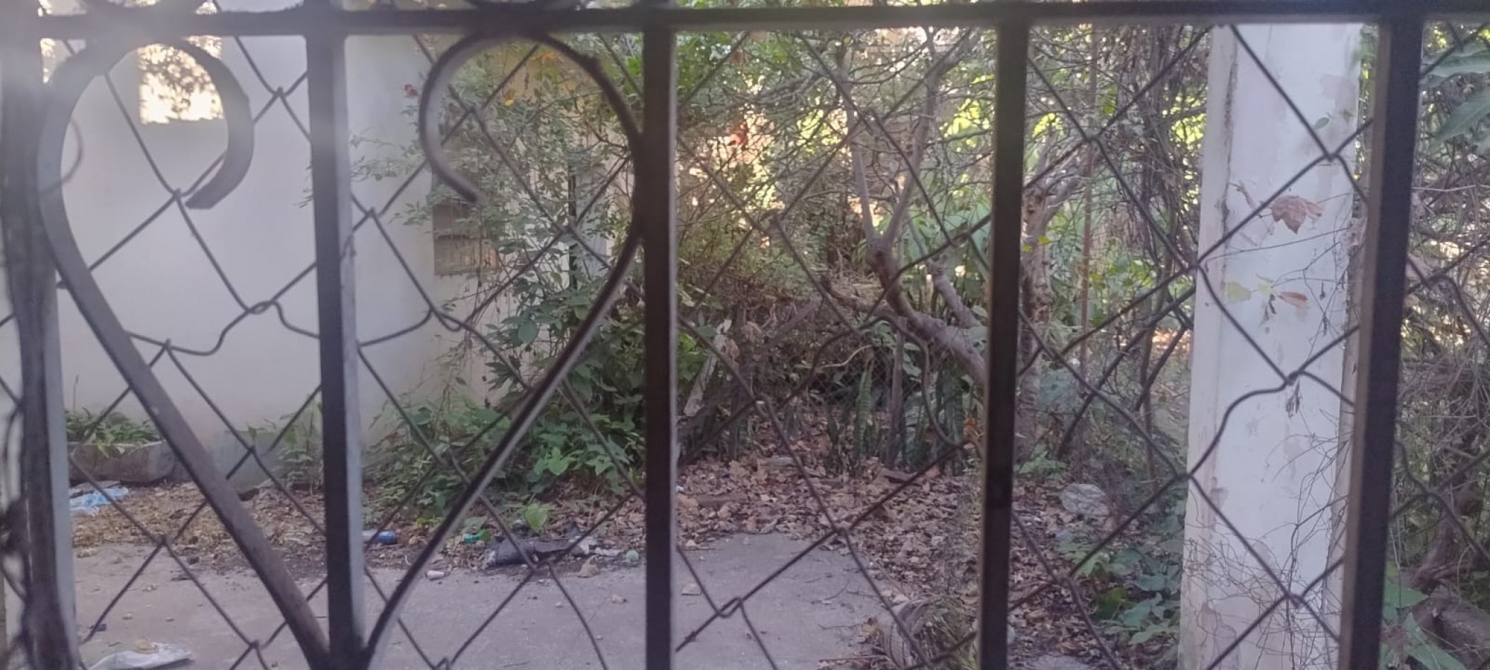 C/ Crisostomo Alvarez al 1700 - Casa a Refaccionar de 4D + Dep + Fondo