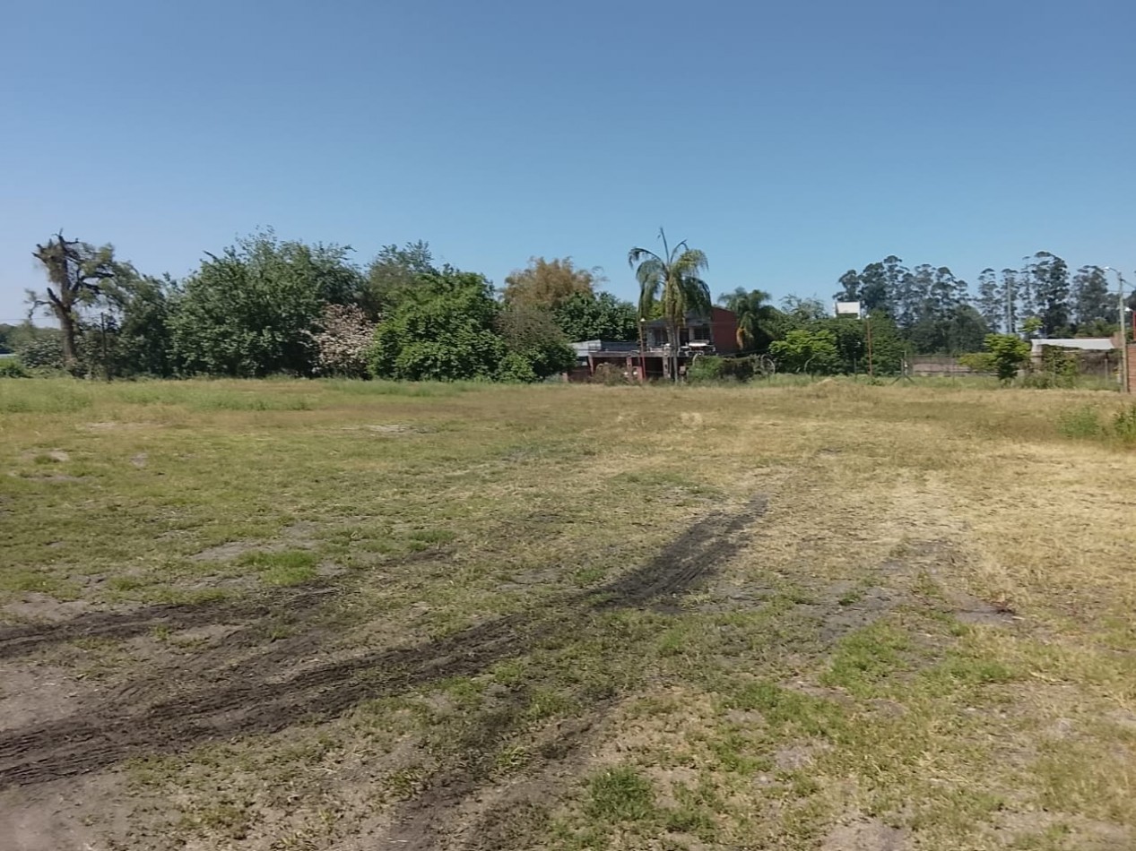 Concepcion 1 Hectarea Sobre Ruta 38 Ideal P/ Galpones, Loteo o Comercio