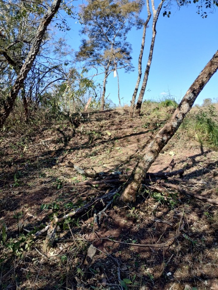 Altos de Medina- Burruyacu- 6.5 y 13 Hectareas Juntas o Separadas 