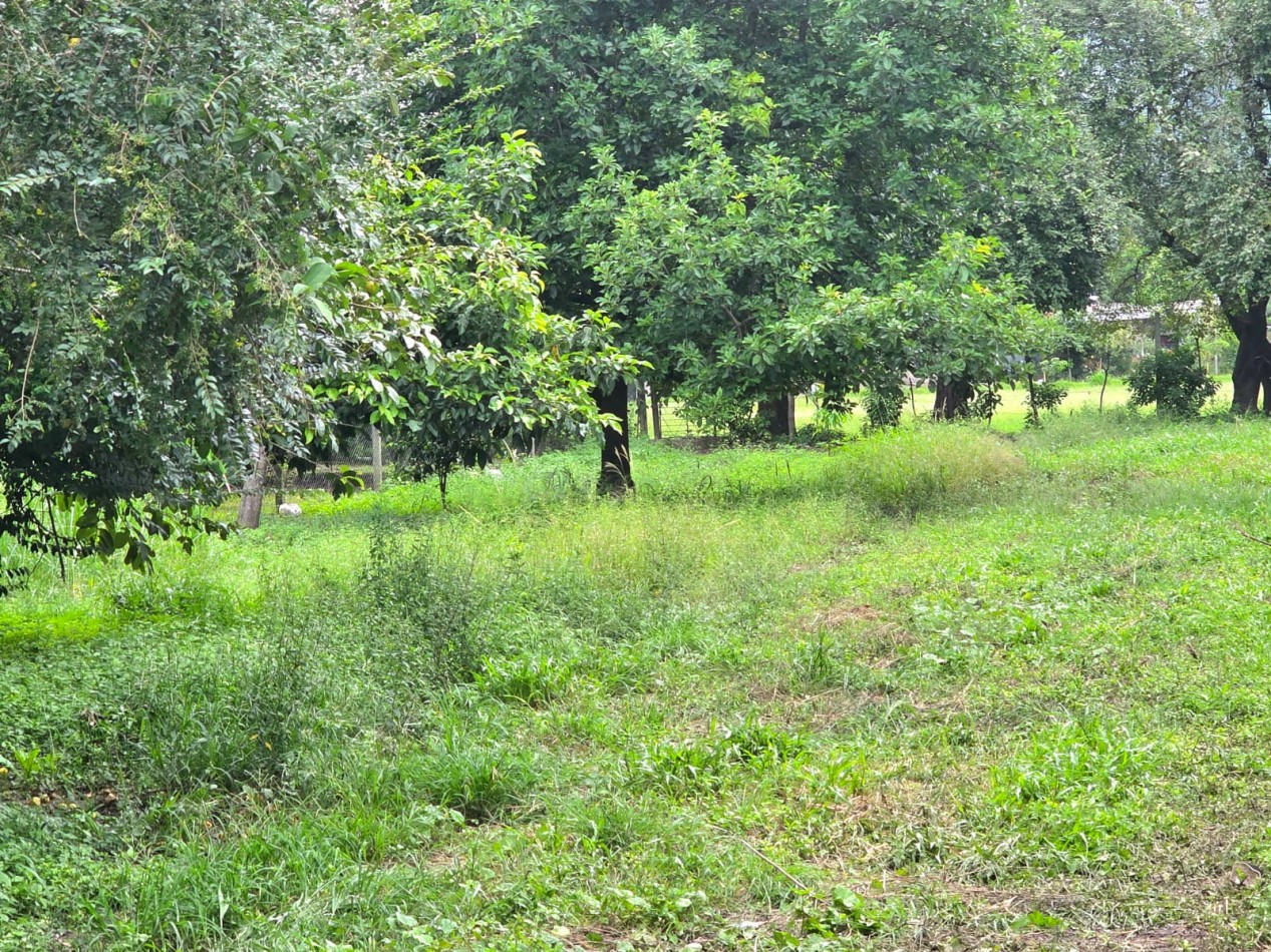 Tafi Viejo - Terreno de 660 m2 IDEAL VIVIENDA O CONTRUCCION DE DUPLEXS