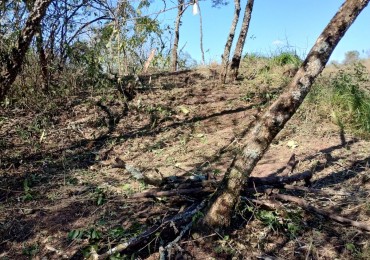 Altos de Medina- Burruyacu- 6.5 y 13 Hectareas Juntas o Separadas 